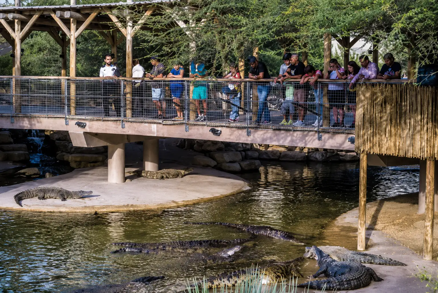 Dubai Crocodile Park + The View at The Palm (Non-Prime Hours)