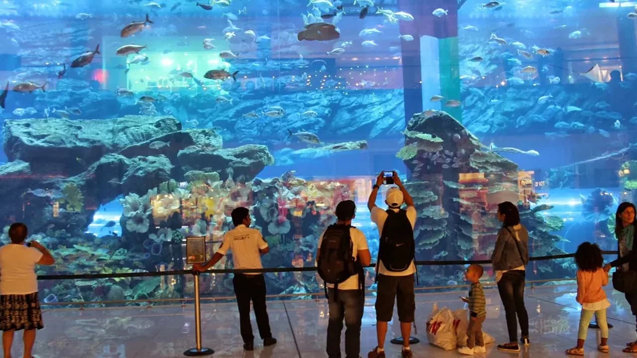 Desert Safari + At The Top Burj Khalifa (124 Floor) - Non-Prime Time + Dubai Mall Aquarium Underwater Zoo