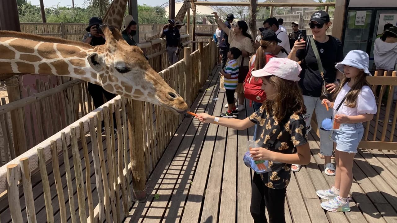 Dubai Safari Bundle + The View at The Palm (Non-Prime Hours)