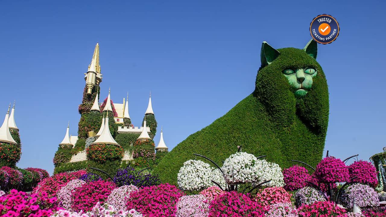 Burj Al Arab Tour + Miracle Garden - clicktoguide
