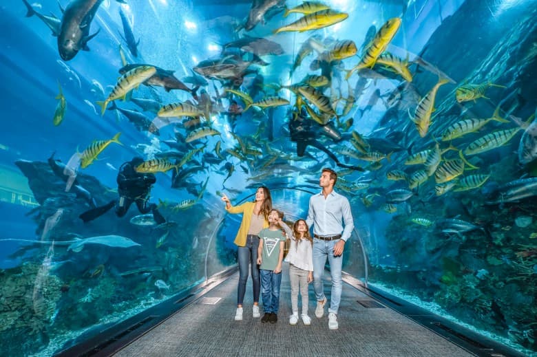 Family observing colorful fish in the Dubai Mall Aquarium's main viewing area.