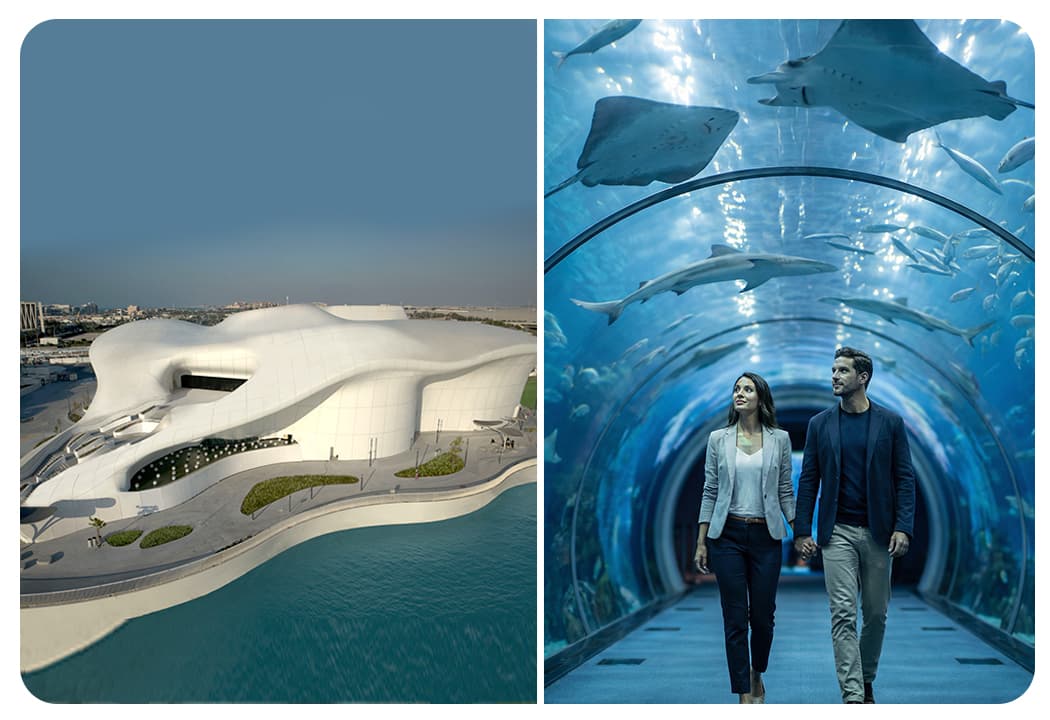 TeamLab Phenomena (General Admission) + The National Aquarium Abu Dhabi - clicktoguide