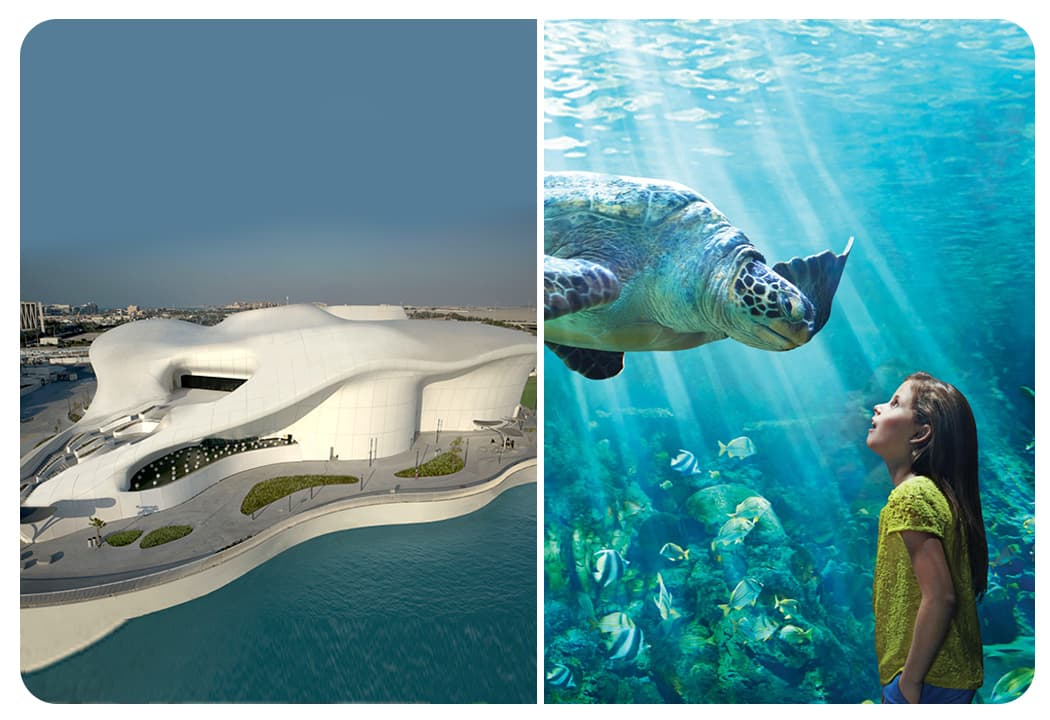 TeamLab Phenomena (General Admission) + Seaworld Abu Dhabi
