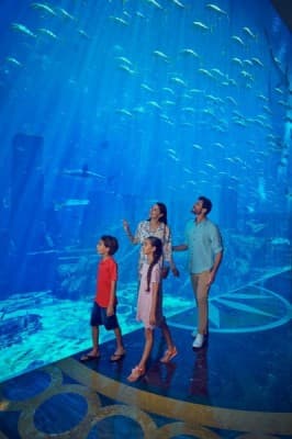 Aqua Trek Xtreme: Family Aquarium