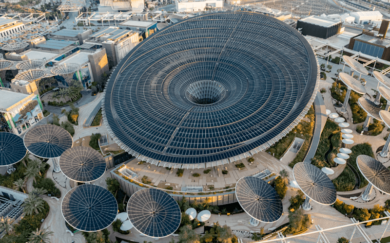 World's largest plant at Expo City Dubai Terra Pavilion, showcasing advanced renewable energy technology.