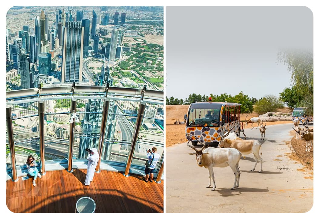 At The Top Burj Khalifa (124 Floor) Non-Prime Time + Dubai Safari Bundle