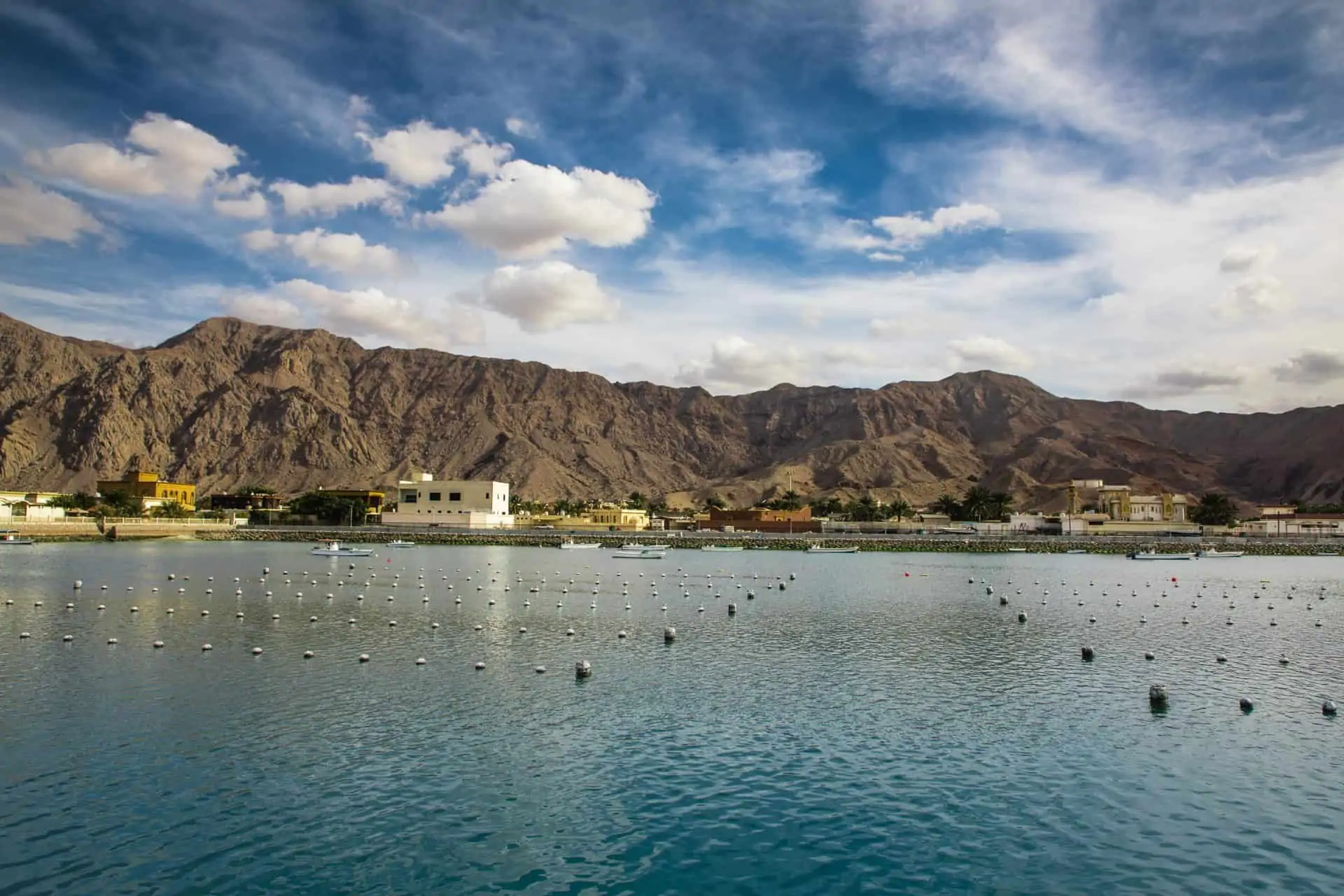 Suwaidi Pearl Farm Experience - clicktoguide