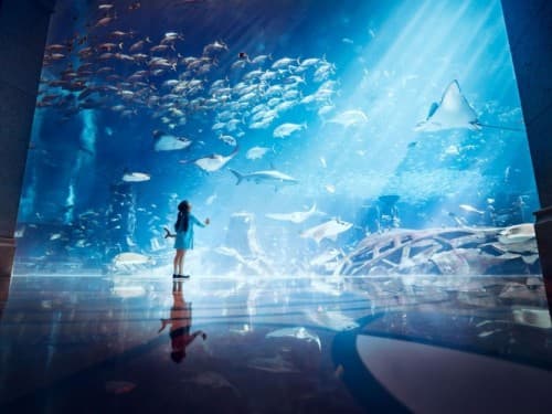 A woman stands in front of a large aquarium at the Ultimate Snorkel Girl Lost Chambers attraction.