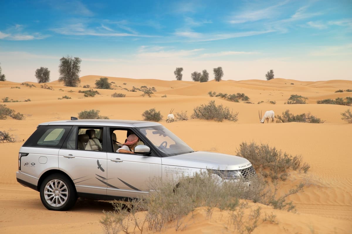 Platinum Desert Safari: Nature Drive