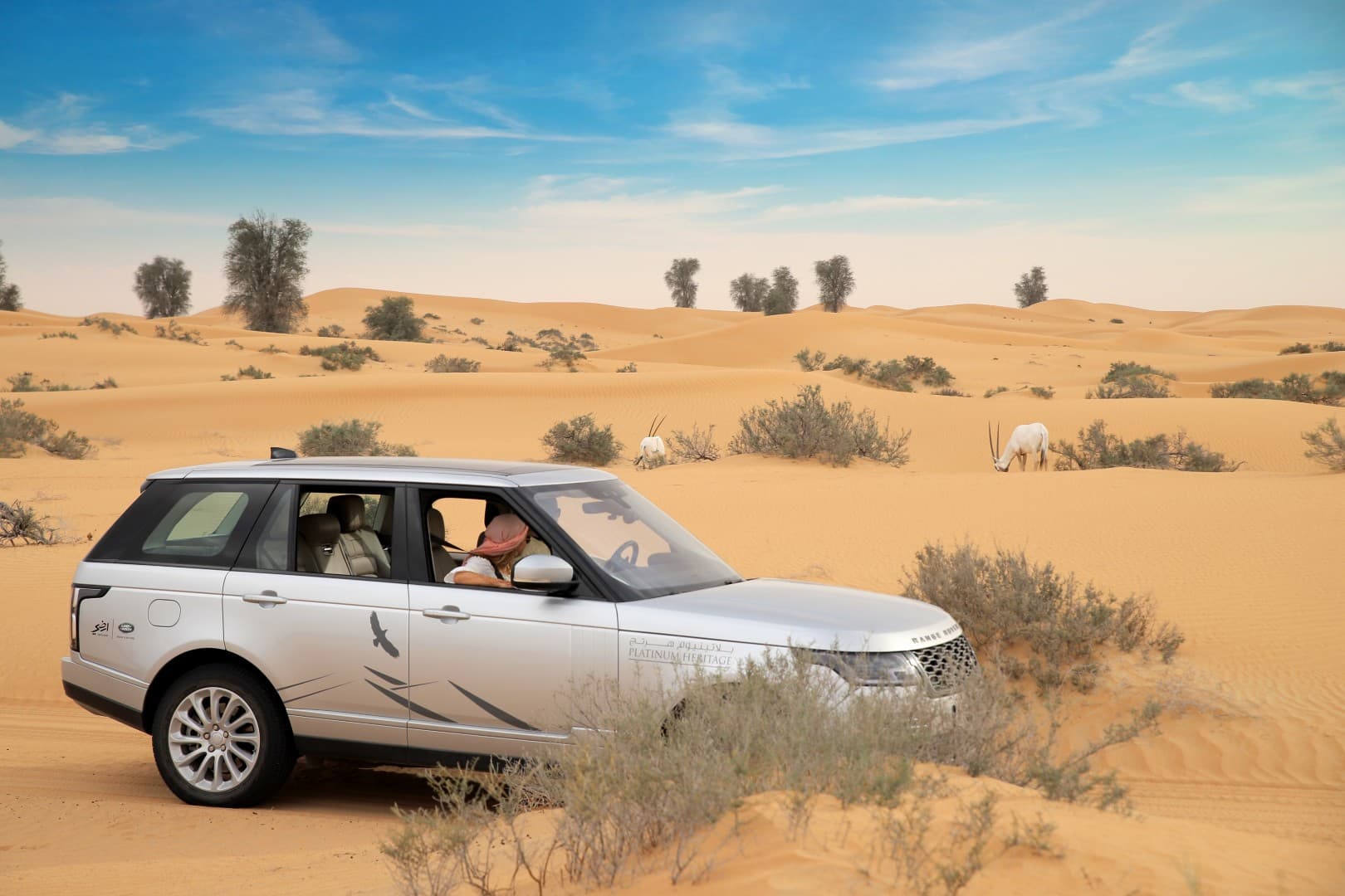 Luxury Land Rover nature drive exploring desert wildlife on the Platinum Desert Safari tour in Dubai