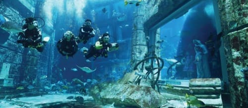 Underwater view of Dubai's Lost City Dive, showcasing submerged structures and marine life in a vibrant aquatic environment.
