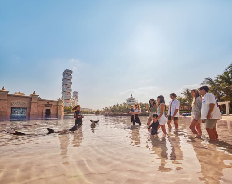 Several individuals standing in shallow water, engaging with a dolphin at the Dolphin Encounter in Atlantis Dubai.