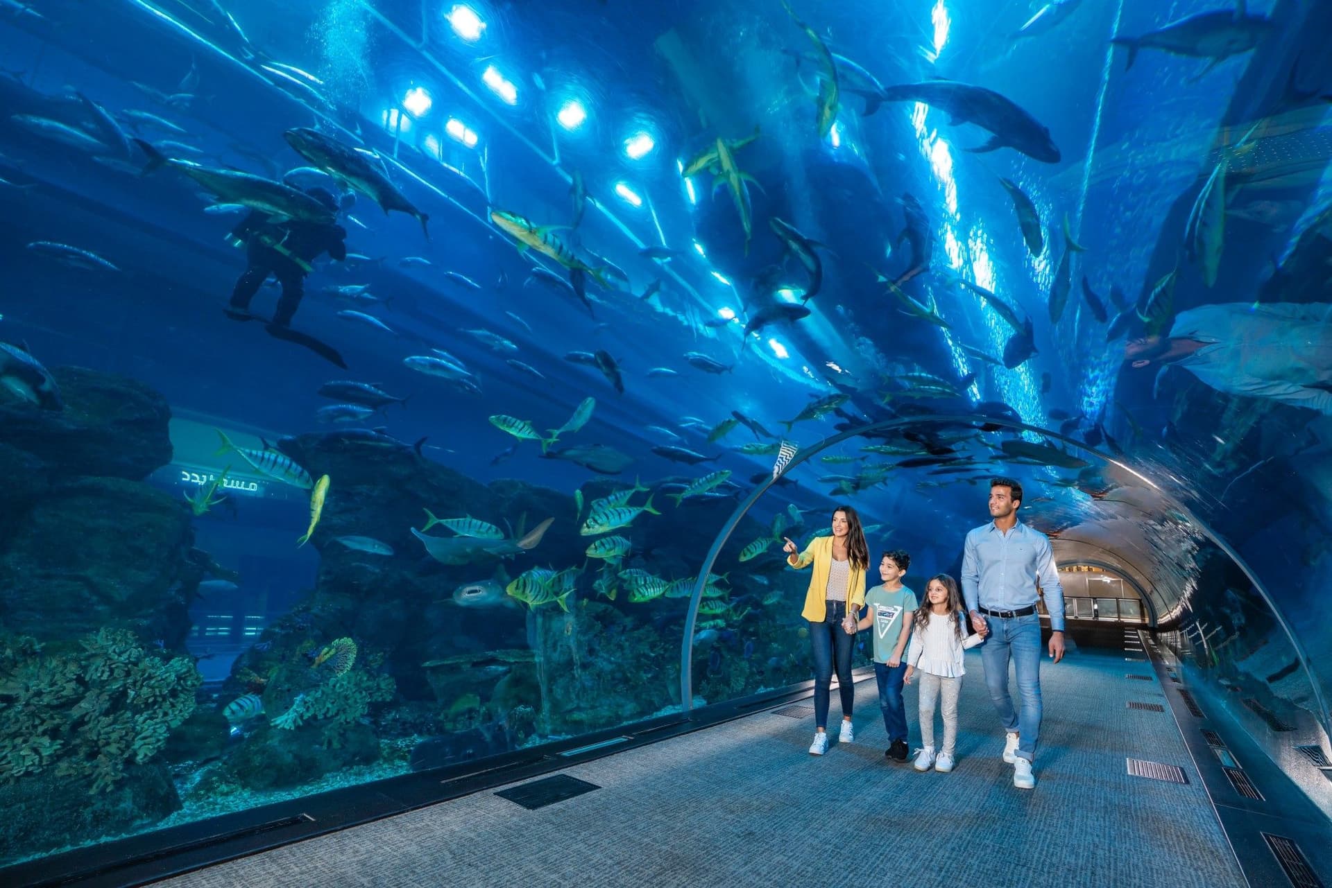 Kids Having Dubai Aquarium Tunnel Experience