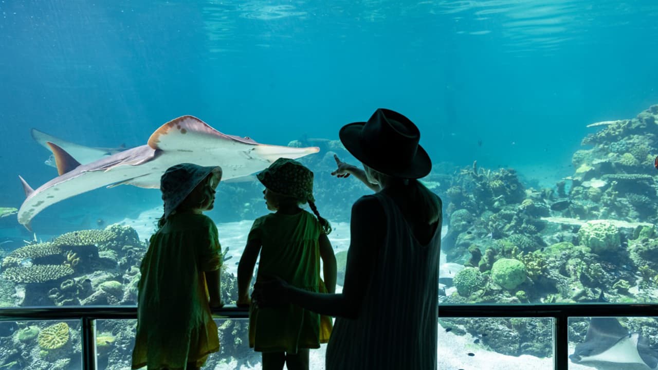 SeaWorld Abu Dhabi + Natural History Museum Abu Dhabi - clicktoguide