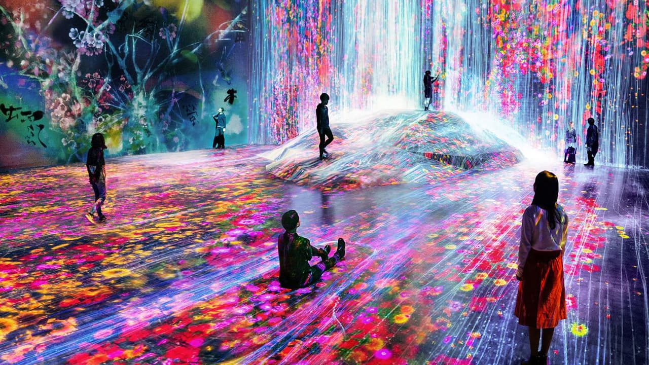 TeamLab Phenomena (General Admission) + Zayed National Museum Abu Dhabi - clicktoguide