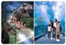 IMG Worlds of Adventure + Dubai Aquarium Underwater Zoo (Silver Pass)