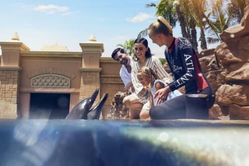 A family observes a dolphin during the Dolphin Meet and Greet at Atlantis Dubai.
