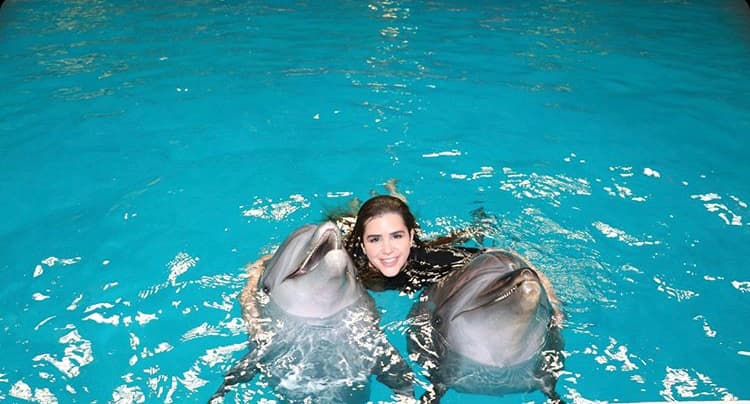 Dolphin Interaction: Twin Dolphin