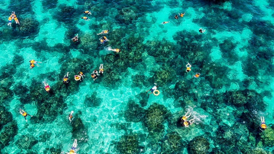 Maya, Phi Phi, and Bamboo Island Day Trip