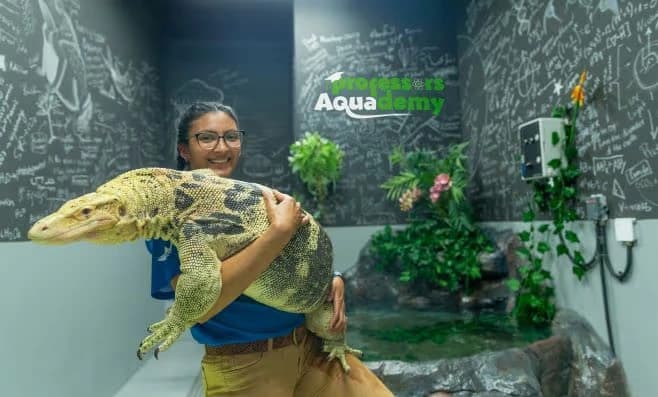 Abu Dhabi Desert Safari + National Aquarium - clicktoguide