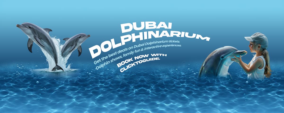 dubai-dolphinarium-tickets clicktoguide