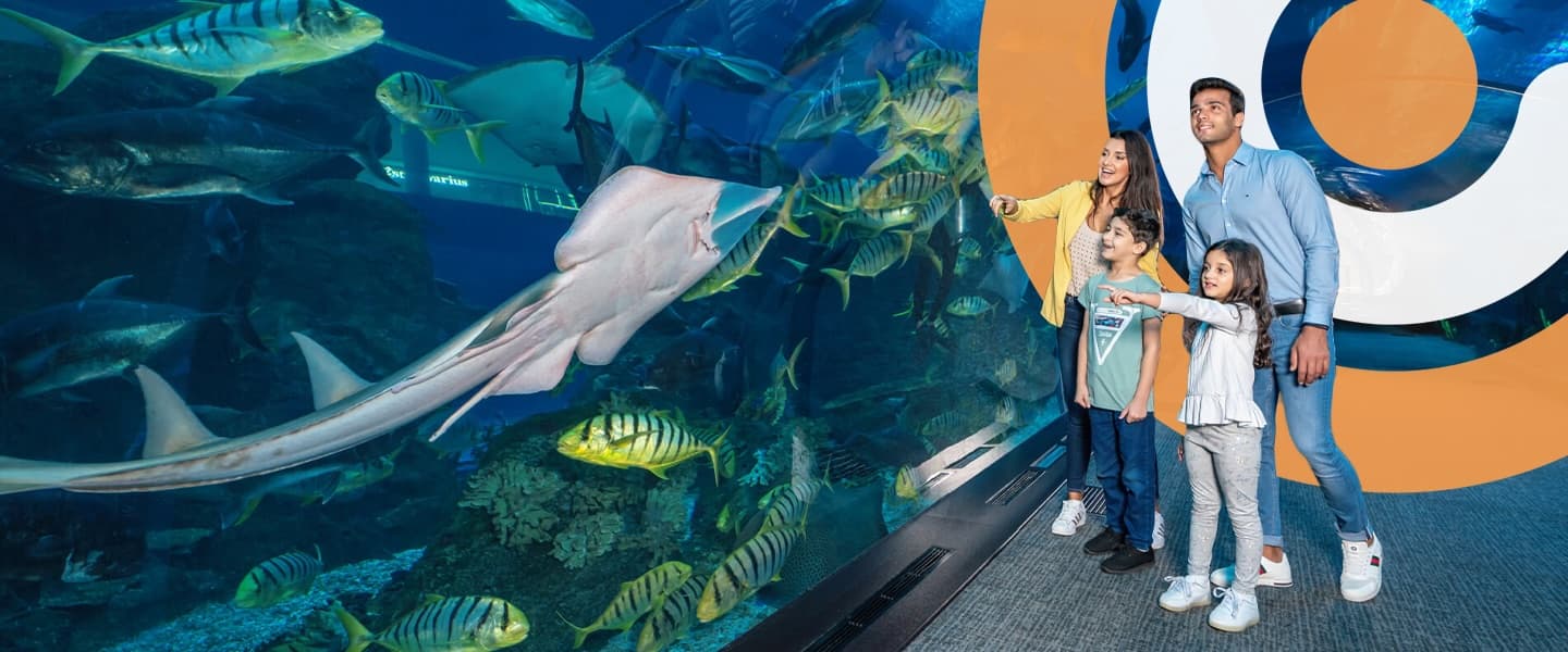 water-parks clicktoguide