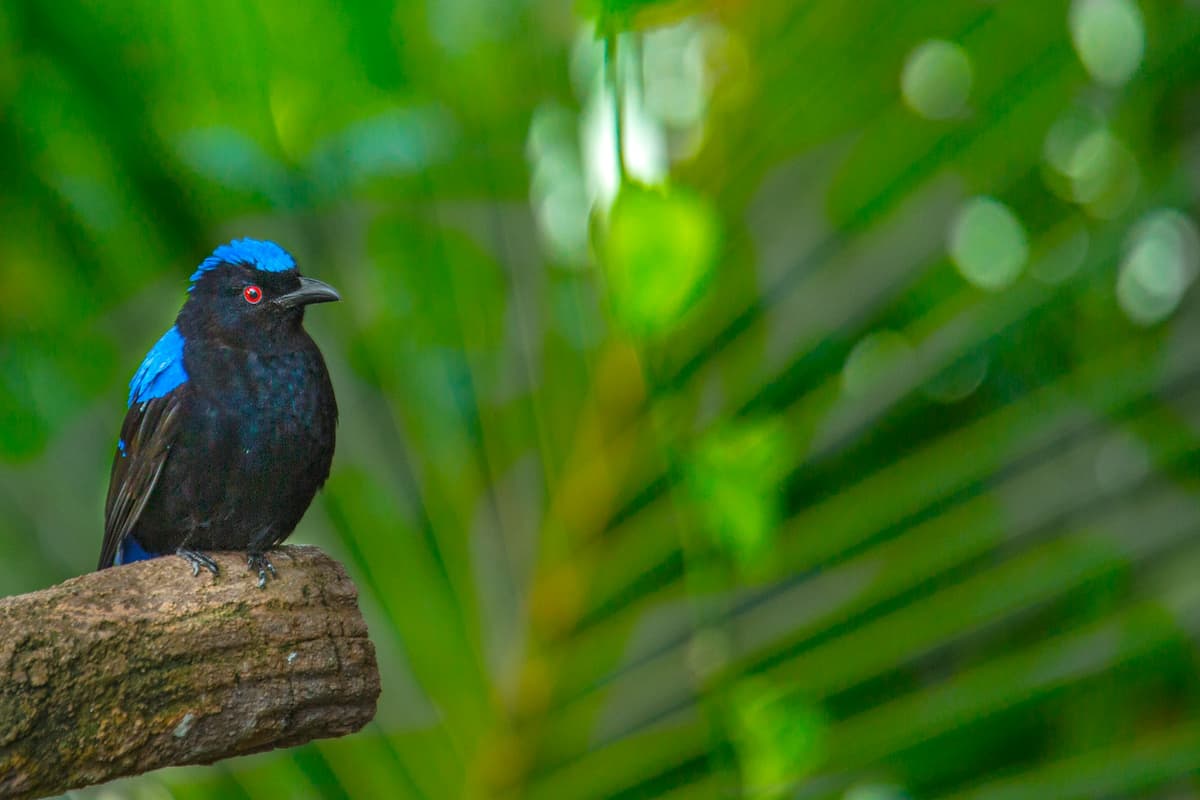 Top 10 Things to See Inside Green Planet Dubai