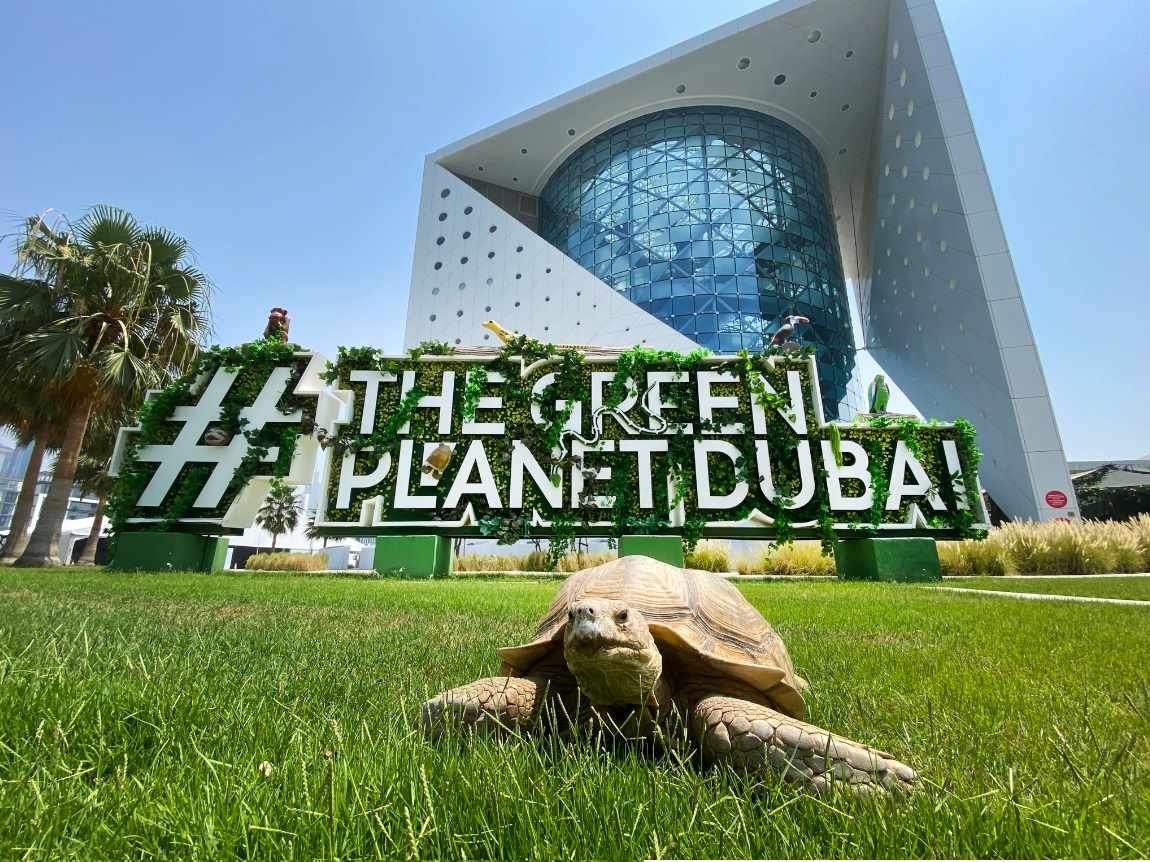 The Green Planet Dubai Full Guide: Timings, Best Time to Visit