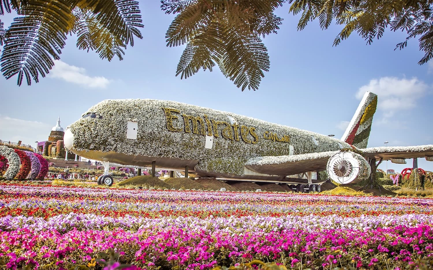 Парк цветов Miracle Garden