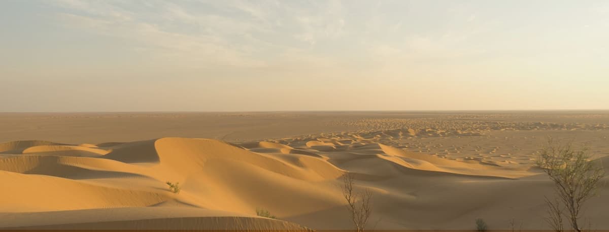 Things to Do in Al Marmoom Desert