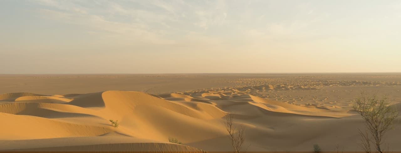 Things to Do in Al Marmoom Desert