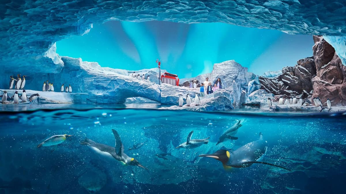SeaWorld Abu Dhabi: Discover Life at Sea