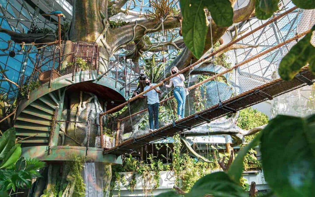 Things to Do Near Green Planet Dubai – A Travel Guide