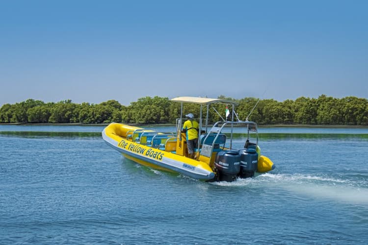 A yellow and blue boat gliding through the water in the Abu Dhabi Mangrove.