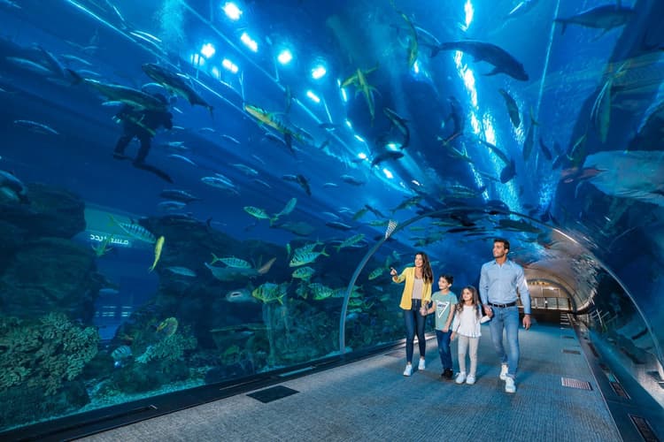 Dubai Mall Aquarium Tunnel experience with family