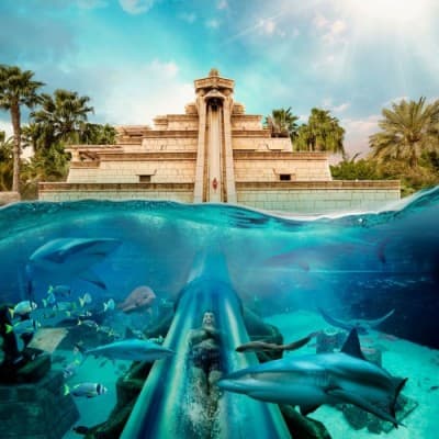Underwater slide at Atlantis Resort, featuring colorful aquatic themes and surrounded by clear blue water.