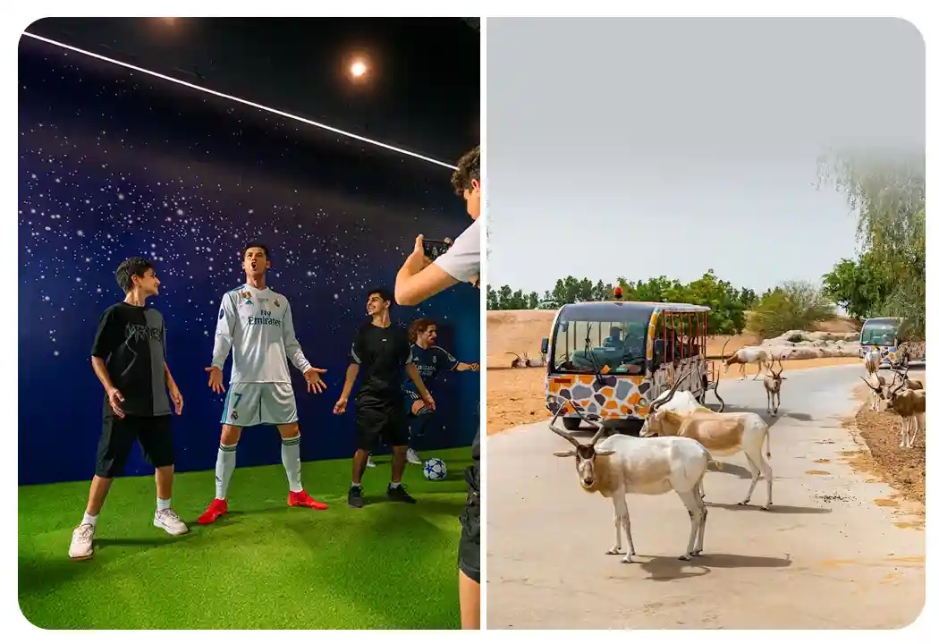 Real Madrid World Park + Dubai Safari Bundle (Safari Park Pass + Train + Explorer Safari Tour)