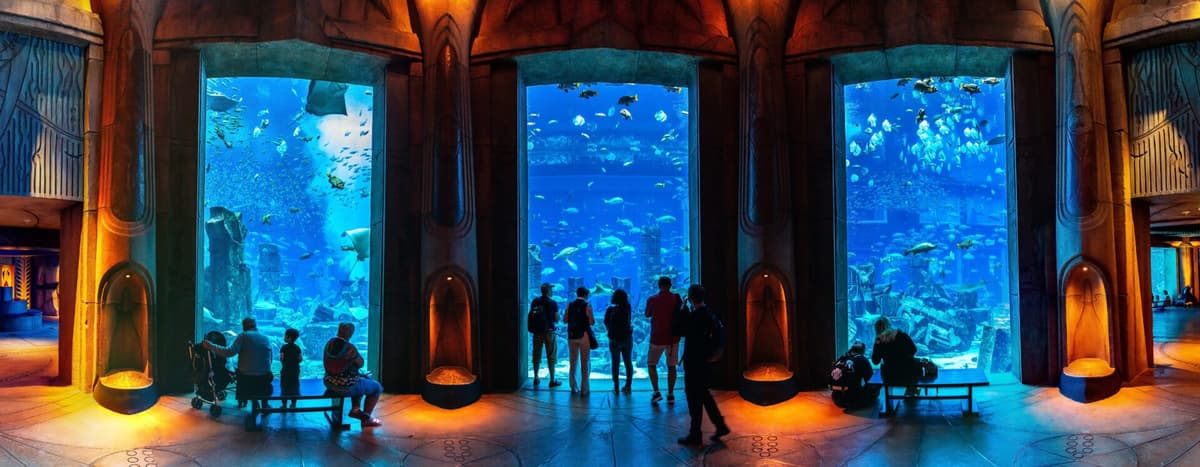 A panoramic view of the Atlantis Aquaventure and Lost World Aquarium, showcasing vibrant marine life and stunning architecture.