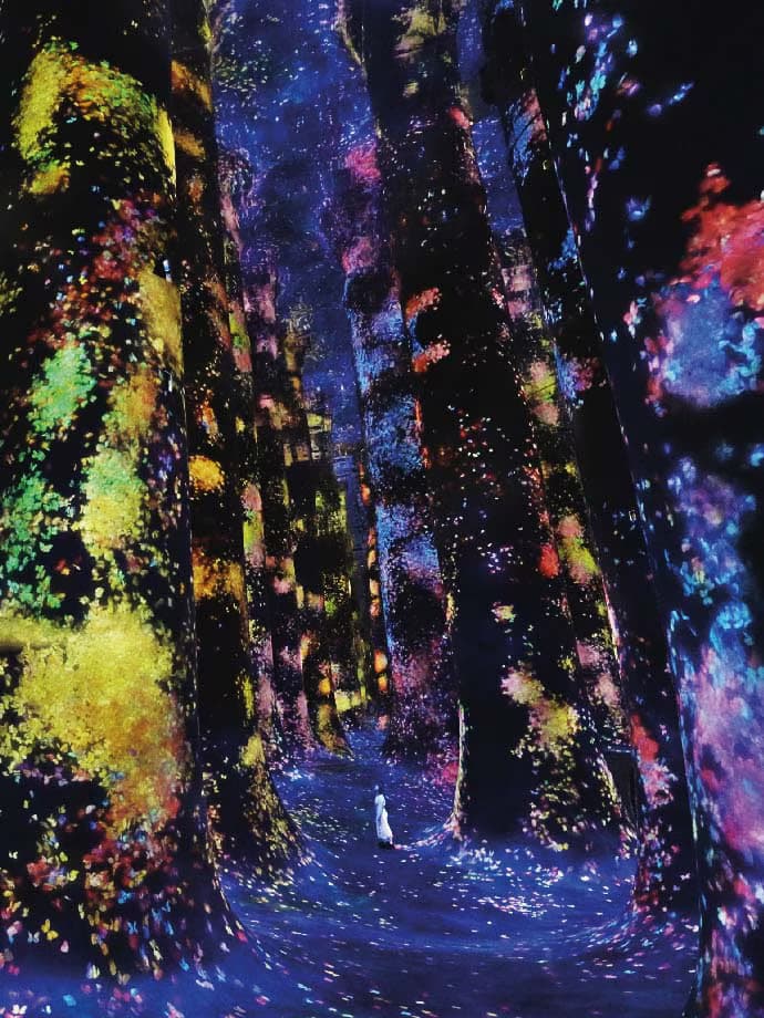 Team Lab Phenomena: Colors