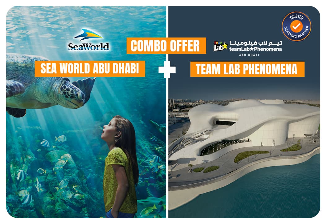 SeaWorld Abu Dhabi + TeamLab Phenomena - clicktoguide