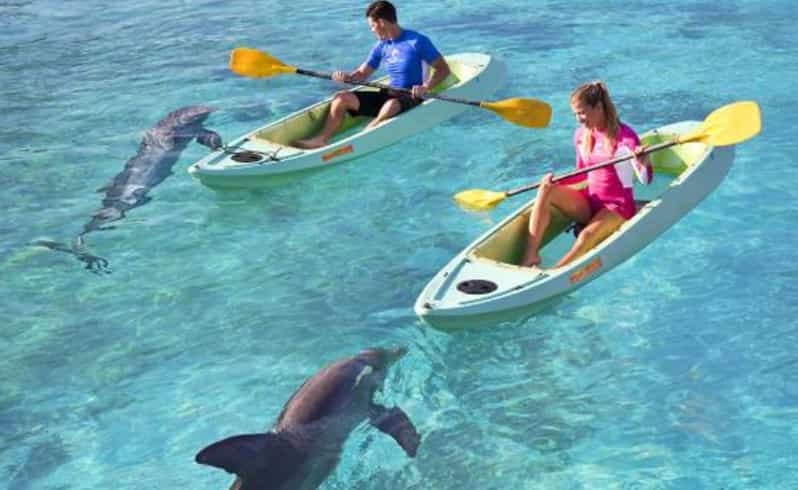 Kayaking with dolphins at Atlantis, offering a vibrant marine experience through Dolphin Kayak Dubai.