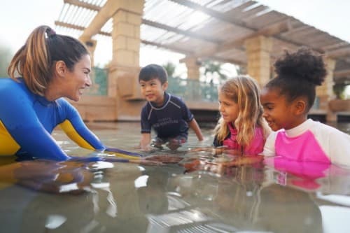 Children interact with a woman in the water during the Dolphin Meet and Greet at Atlantis Dubai.
